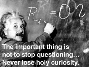 ... thing is not to stop questioning... Never lose holy curiosity Einstein