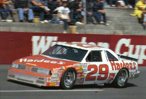 Cale Yarborough-1987 Racing Cars, Cale Yarborough 1987, Stockings Cars