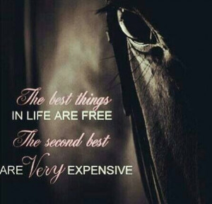 horse quotes