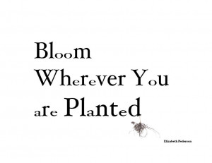 First Typography Assignment: A Quote