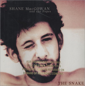 Shane MacGowan's Quotes