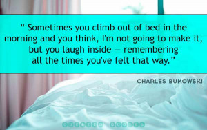 Related Pictures fisher hd100 curved body shield