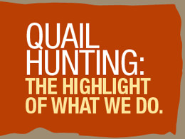 Quail hunting is for members only, but you can do a quail hunt on a ...