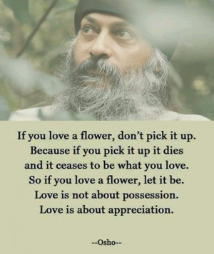 Pinned by Kerstin Raybould