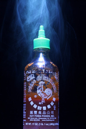 The hot sauce was an obvious first choice.