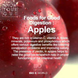 BIO E® World: Foods for Good Digestion : APPLES
