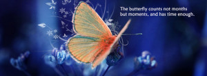 Butterfly_quote_fb_cover