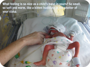 Premature Babies In Hands Though a premature baby is in