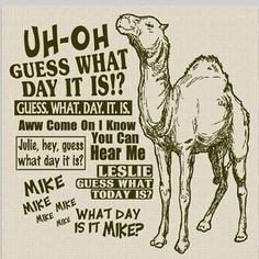 hump day quotes | hump day | funny stuff, quotes, sayings, ect
