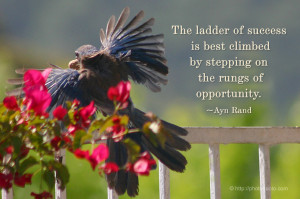 Ayn Rand Quotes HD Wallpaper 7