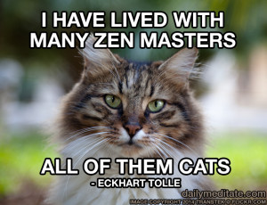 Meditation Quote 68: “I have lived with many Zen masters, all of ...