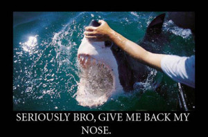 funny shark week back nose