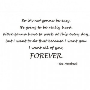 ... want to do that because i want you i want all of you forever notebook