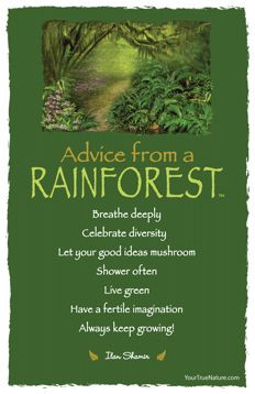 Advice from a Rainforest...not an animal, but a spiritual teacher ...