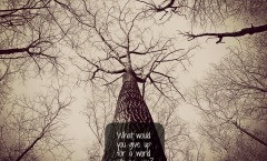 The Giver Lois Lowry