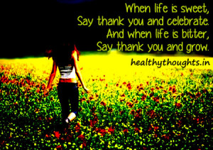 bitter-sweet-life-quotes