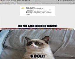 Facebook And The 12 Days Of Christmas Grumpy Cat Style Funny Pic