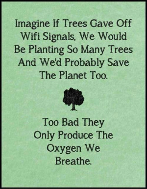 Trees plant them!