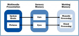 Encoding Memory Psychology Which enter visual memory