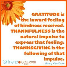 , Thanksgiving Quotes, Thanksgiving Crafts, Thanksgiving Thoughts ...