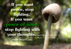 ... want peace of mind, stop fighting with your thoughts. Peter McWilliams