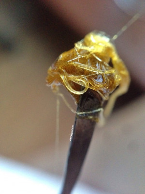 shatter bho dabs errl 710 concentrate concentrates dab dab life ...