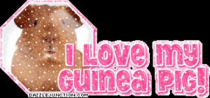 Animal Lovers I Love My Guinea Pig quote