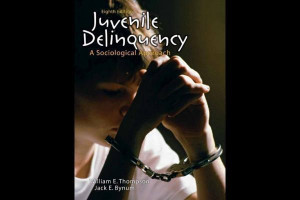 About 'Juvenile delinquency'