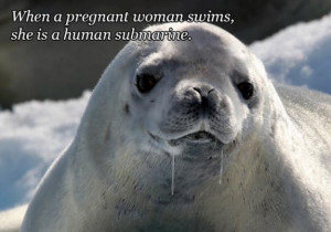 Funny Quotes Over Pictures Of Drooling Animals (14 Photos)