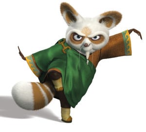 Kung Fu Panda Master Shifu