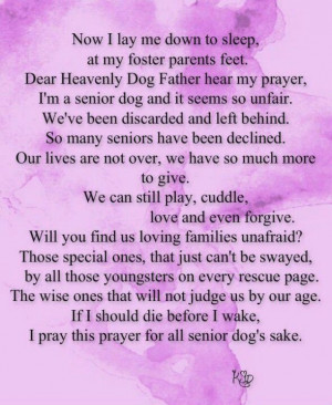 Senior dog prayerSenior Pets, Dogs Prayer Beautiful, Dogs Stuff ...