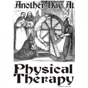 Anyone that has been through Physical Therapy knows that it is no fun ...