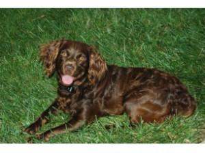 Funny Quotes Contact Us DMCA Notice