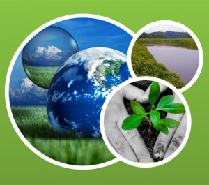 Images Performance Monitoring Training And Independent Evaluation