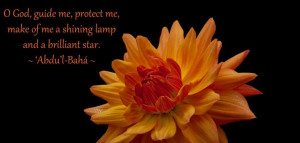 God, guide me, protect me, make of me a shining lamp and a brilliant ...