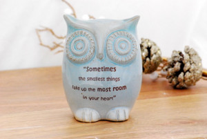 Winnie the pooh quote on owl in baby blue baby decor - made to order
