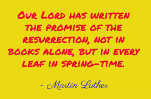 Our Lord has written the promise of the resurrection, not