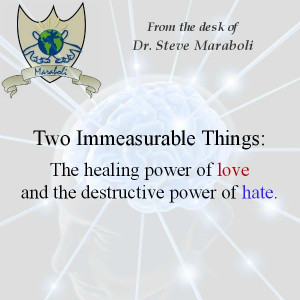 ... of love and the destructive power of hate. - Steve Maraboli #quote