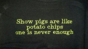 pig livestock show quotes