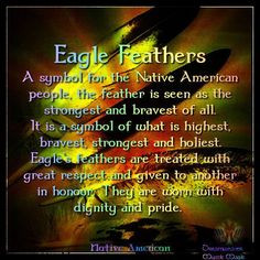 eagles spirit guide american indian american eagle native pride eagles ...