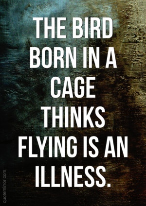 The bird born in a cage