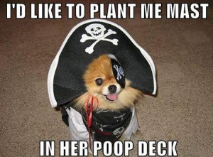 =http://funny.piz18.com/this-dog-is-inappropriate/][img]http://funny ...