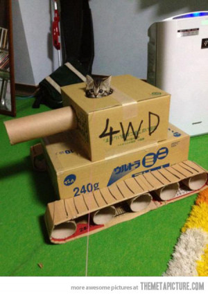 Funny photos funny cat cardboard tank