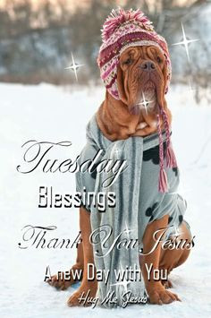 ... tuesday tuesday quotes fantastic quotes winter wonderland god blessed