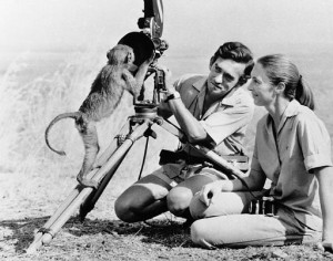In 1964, Jane married wildlife photographer Hugo van Lawick