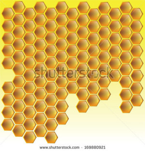 Related Pictures honey bee honey bee illustration