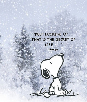 keep looking up life quotes quotes positive quotes quote winter snow ...