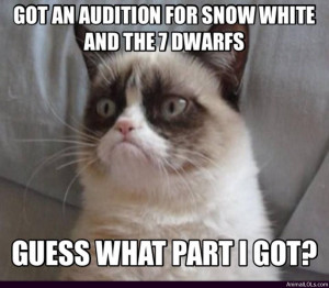 Grumpy Cat Snow White And...