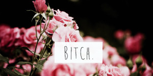 ... like or credit if you save twitter headers tumblr flowers about me