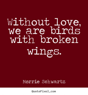 Quotes about love - Without love, we are birds with broken wings.